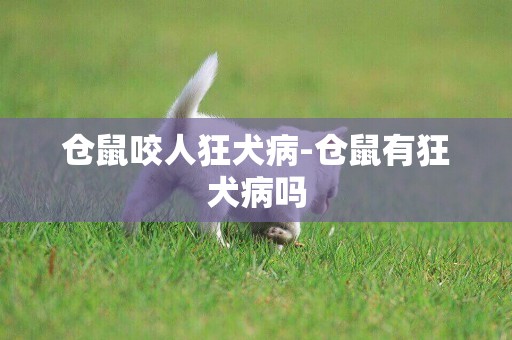 倉鼠咬人狂犬病-倉鼠有狂犬病嗎