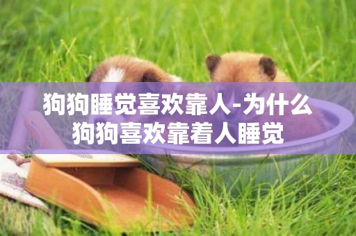 狗狗睡覺喜歡靠人-為什么狗狗喜歡靠著人睡覺