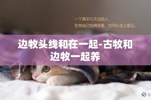 邊牧頭線和在一起-古牧和邊牧一起養