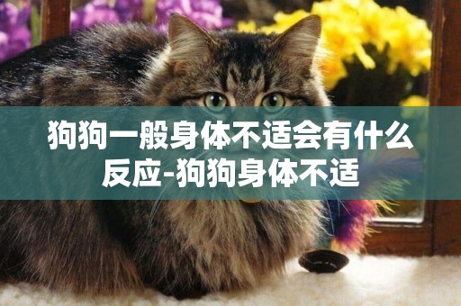 狗狗一般身體不適會有什么反應-狗狗身體不適