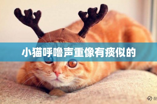 小貓呼嚕聲重像有痰似的