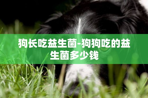 狗長吃益生菌-狗狗吃的益生菌多少錢