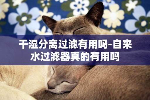 干濕分離過濾有用嗎-自來水過濾器真的有用嗎
