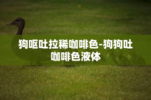狗嘔吐拉稀咖啡色-狗狗吐咖啡色液體
