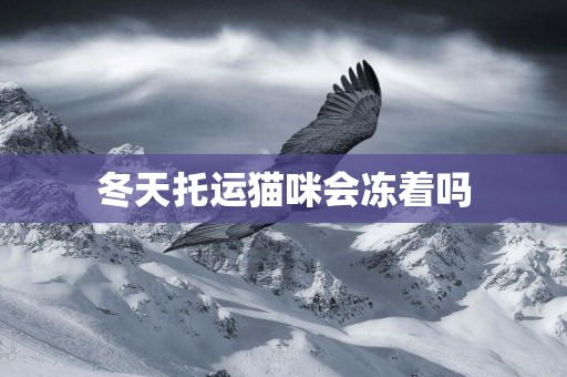 冬天托運貓咪會凍著嗎