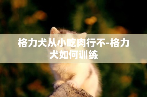 格力犬從小吃肉行不-格力犬如何訓練