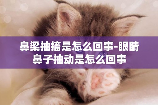 鼻梁抽搐是怎么回事-眼睛鼻子抽動是怎么回事