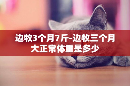 邊牧3個月7斤-邊牧三個月大正常體重是多少