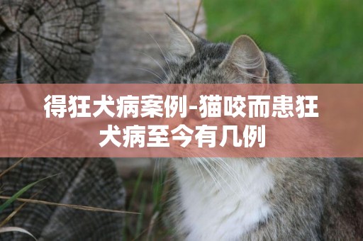 得狂犬病案例-貓咬而患狂犬病至今有幾例