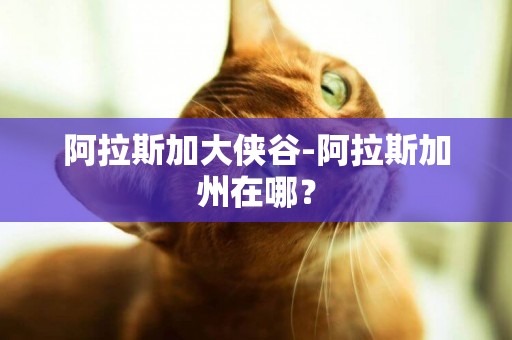 阿拉斯加大俠谷-阿拉斯加州在哪？