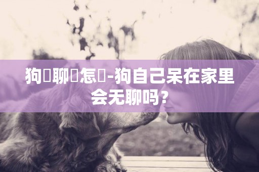 狗無聊會怎樣-狗自己呆在家里會無聊嗎？