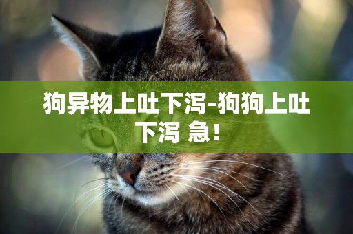 狗異物上吐下瀉-狗狗上吐下瀉 急！