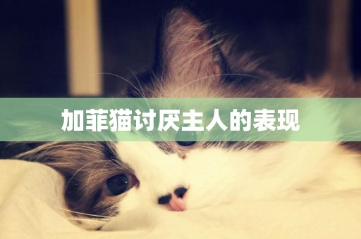 加菲貓討厭主人的表現