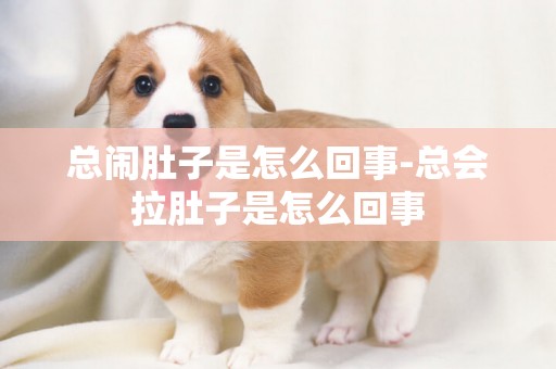 總鬧肚子是怎么回事-總會拉肚子是怎么回事