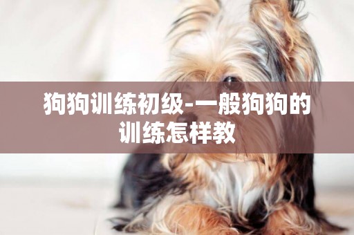 狗狗訓練初級-一般狗狗的訓練怎樣教