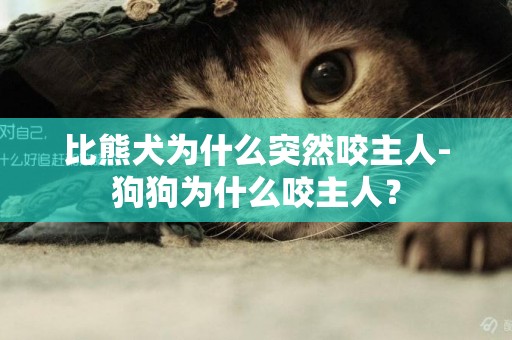 比熊犬為什么突然咬主人-狗狗為什么咬主人？