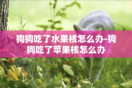 狗狗吃了水果核怎么辦-狗狗吃了蘋果核怎么辦
