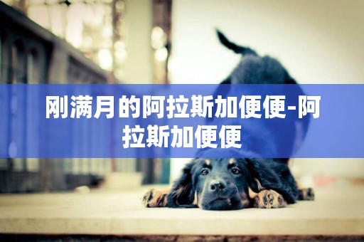 剛滿月的阿拉斯加便便-阿拉斯加便便
