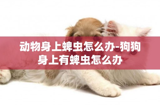 動物身上蜱蟲怎么辦-狗狗身上有蜱蟲怎么辦
