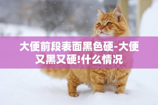 大便前段表面黑色硬-大便又黑又硬!什么情況