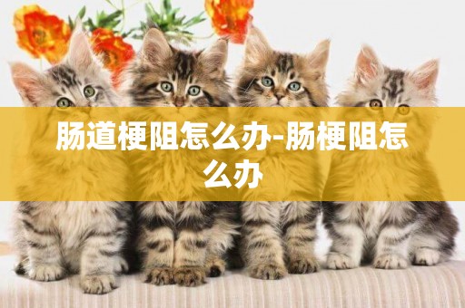 腸道梗阻怎么辦-腸梗阻怎么辦