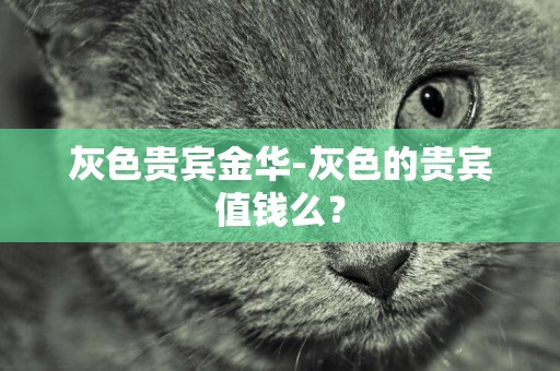 灰色貴賓金華-灰色的貴賓值錢么？