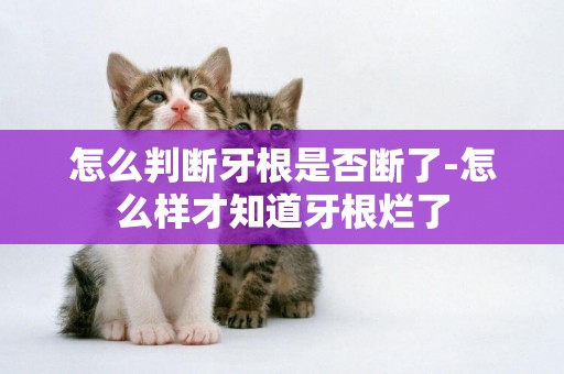 怎么判斷牙根是否斷了-怎么樣才知道牙根爛了