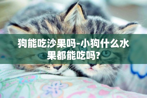 狗能吃沙果嗎-小狗什么水果都能吃嗎?