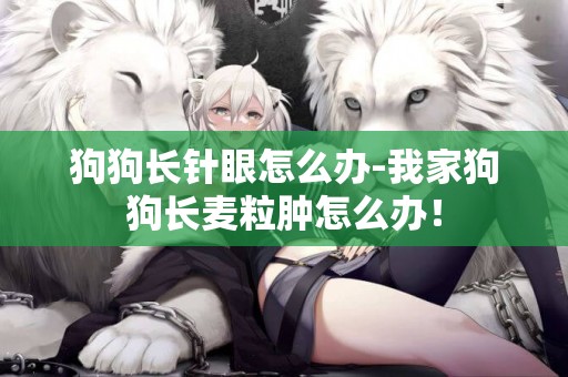狗狗長針眼怎么辦-我家狗狗長麥粒腫怎么辦！