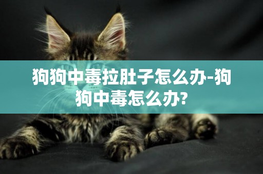 狗狗中毒拉肚子怎么辦-狗狗中毒怎么辦?