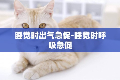 睡覺時出氣急促-睡覺時呼吸急促