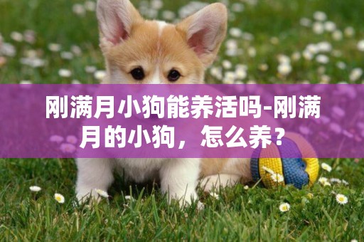 剛滿月小狗能養活嗎-剛滿月的小狗，怎么養？