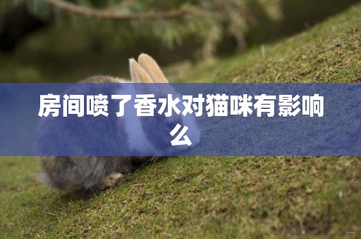 房間噴了香水對貓咪有影響么