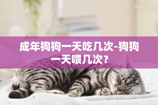 成年狗狗一天吃幾次-狗狗一天喂幾次？