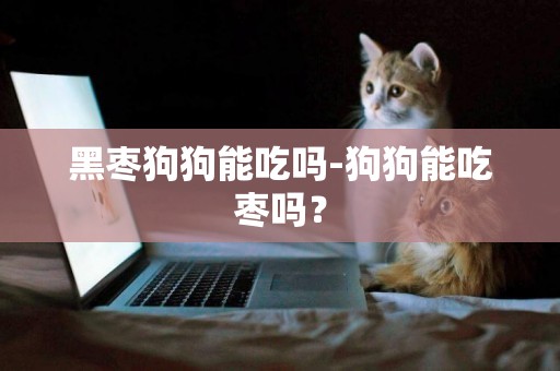 黑棗狗狗能吃嗎-狗狗能吃棗嗎？
