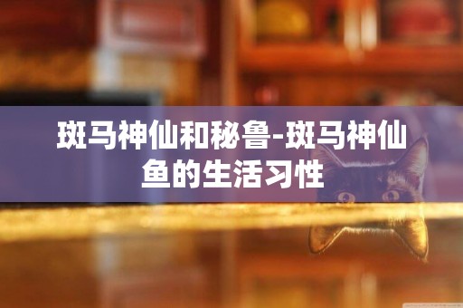 斑馬神仙和秘魯-斑馬神仙魚的生活習性