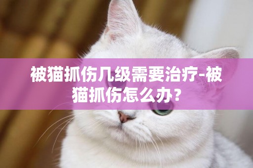 被貓抓傷幾級需要治療-被貓抓傷怎么辦？