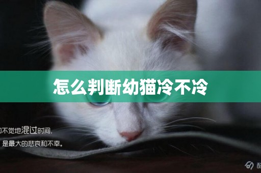 怎么判斷幼貓冷不冷