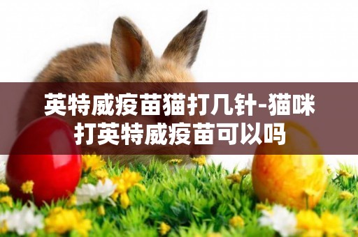 英特威疫苗貓打幾針-貓咪打英特威疫苗可以嗎
