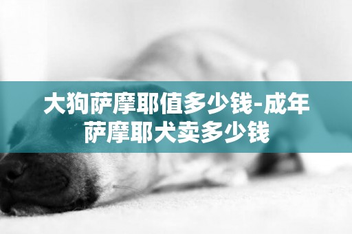 大狗薩摩耶值多少錢-成年薩摩耶犬賣多少錢