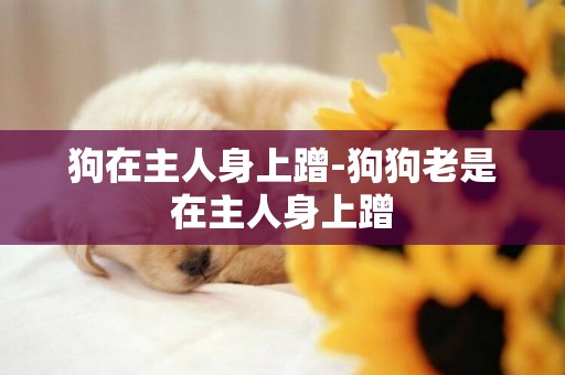 狗在主人身上蹭-狗狗老是在主人身上蹭