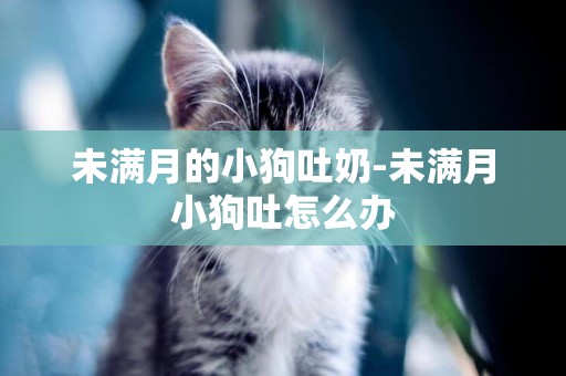 未滿月的小狗吐奶-未滿月小狗吐怎么辦