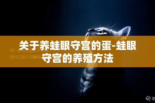 關于養蛙眼守宮的蛋-蛙眼守宮的養殖方法