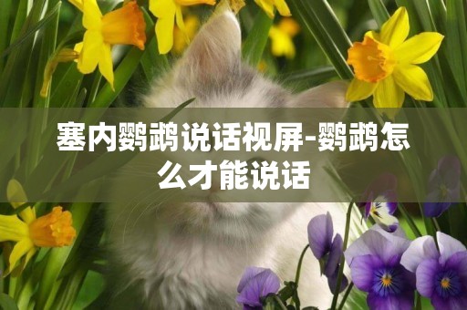 塞內鸚鵡說話視屏-鸚鵡怎么才能說話