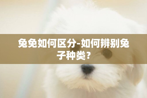 兔免如何區分-如何辨別兔子種類？