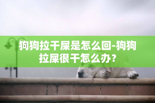 狗狗拉干屎是怎么回-狗狗拉屎很干怎么辦？