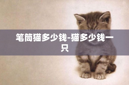 筆筒貓多少錢-貓多少錢一只