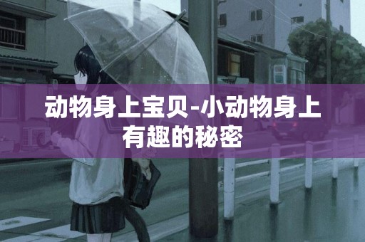 動物身上寶貝-小動物身上有趣的秘密
