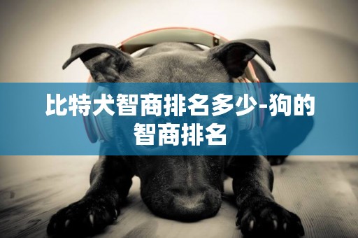 比特犬智商排名多少-狗的智商排名