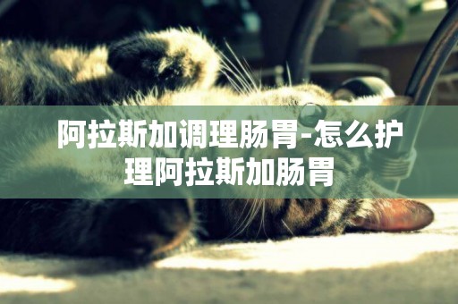 阿拉斯加調理腸胃-怎么護理阿拉斯加腸胃